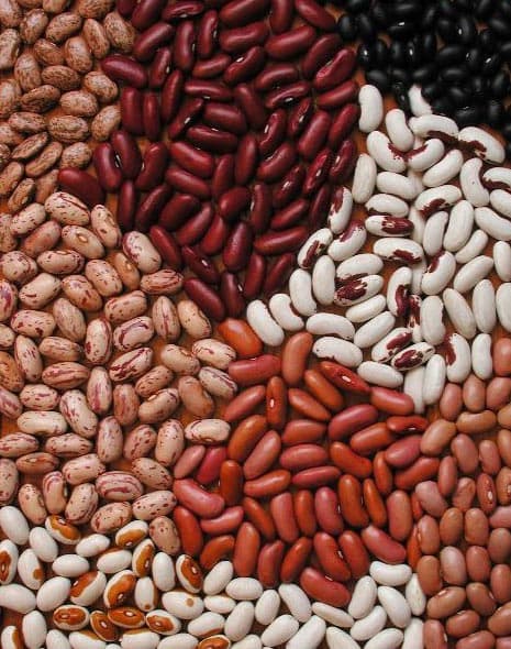Raw Kidney Beans